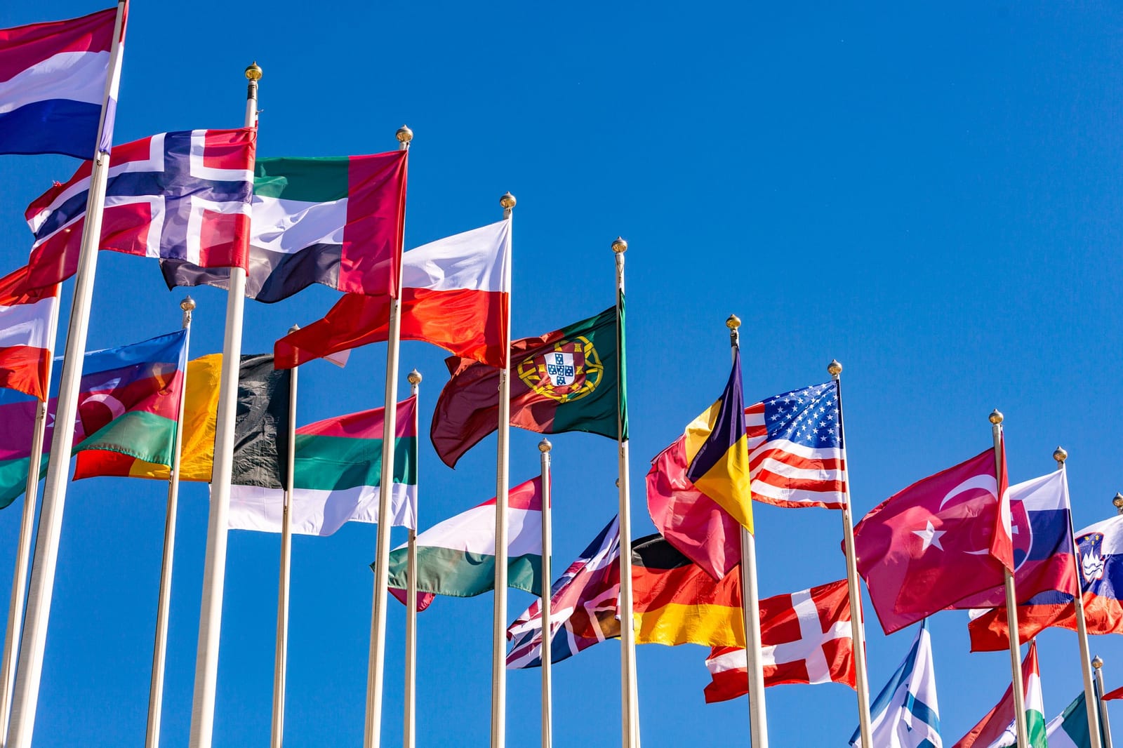 How to make your website multilingual: a step-by-step guide