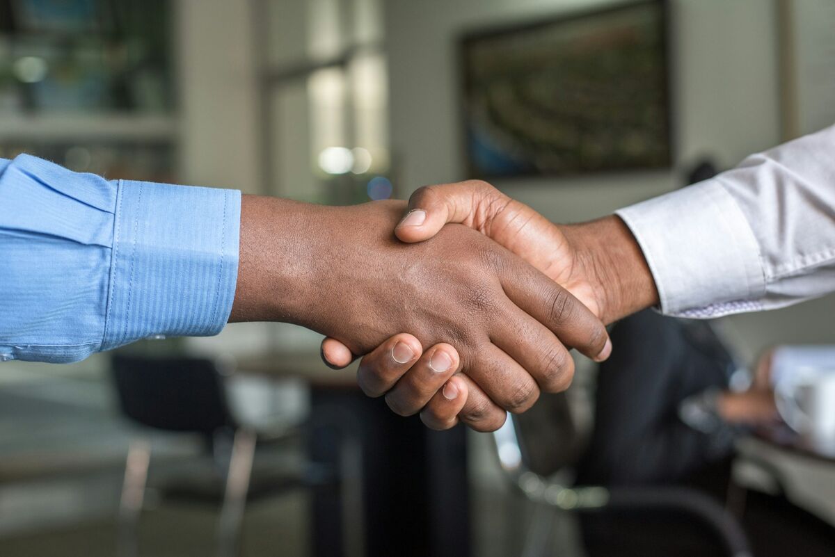 Professional consultation at Ecrivus International