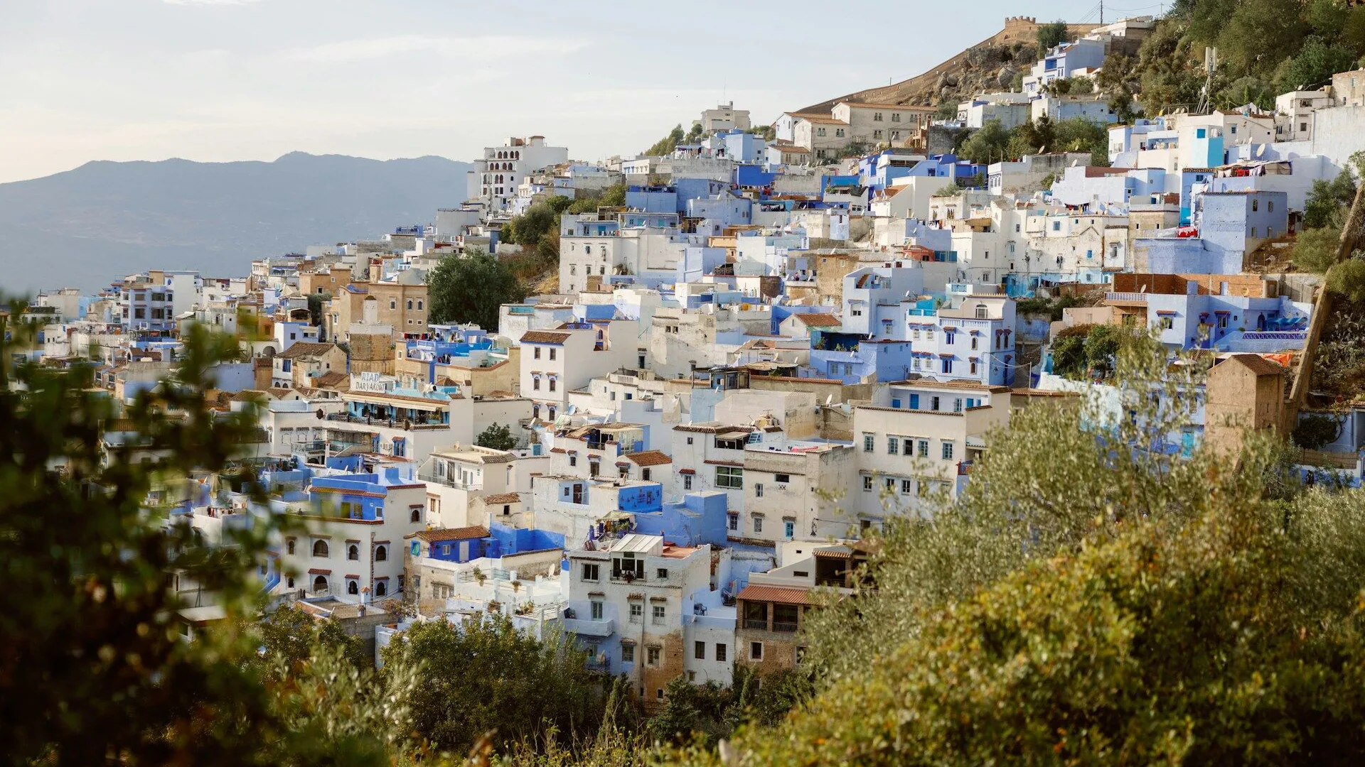 Darija translator — Moroccan Arabic interpreting and certified translation