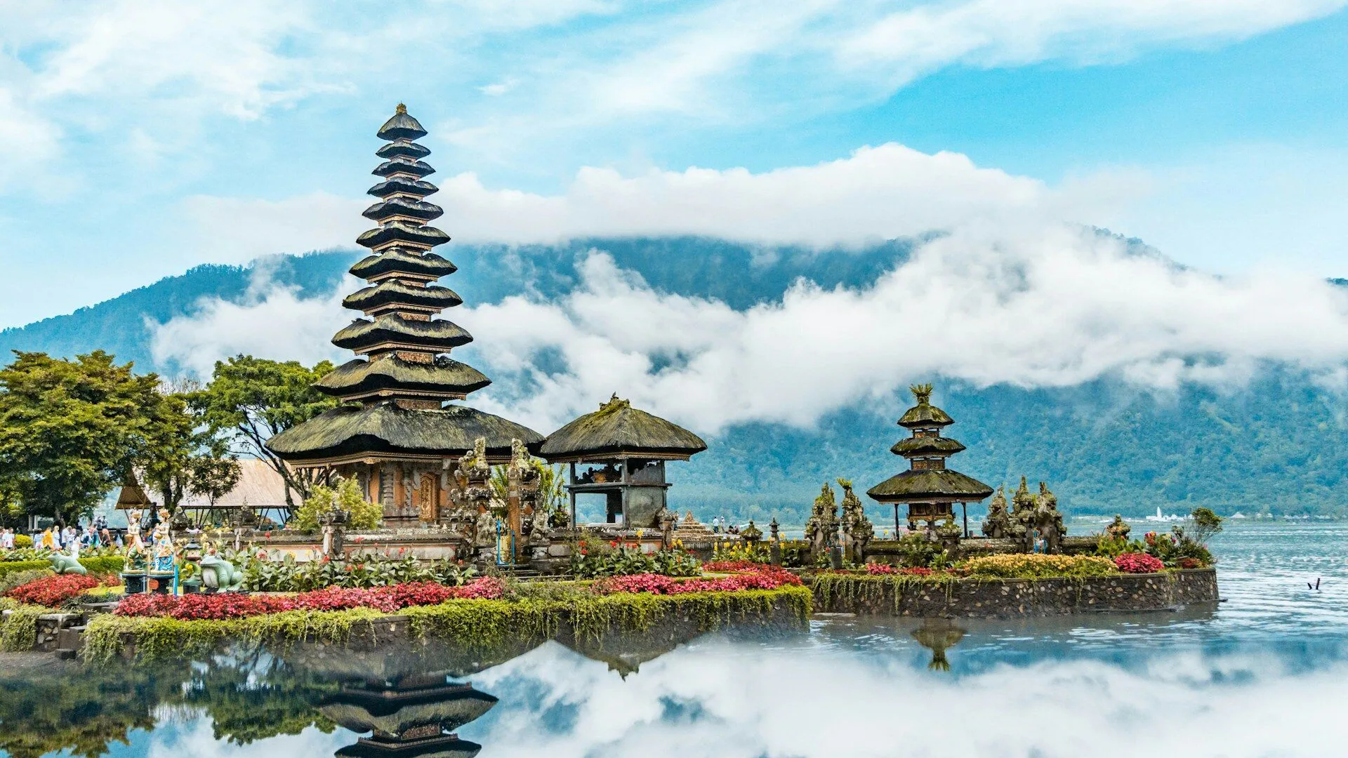Malay translator — certified and professional Malay translation