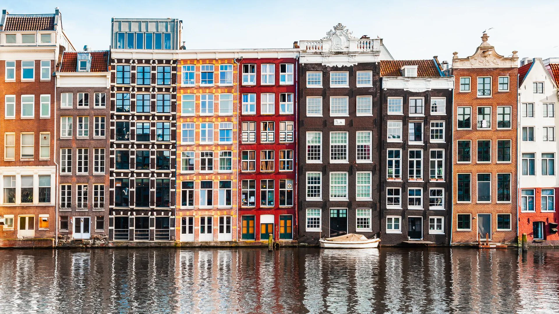 Dutch translator — certified and professional Dutch translation
