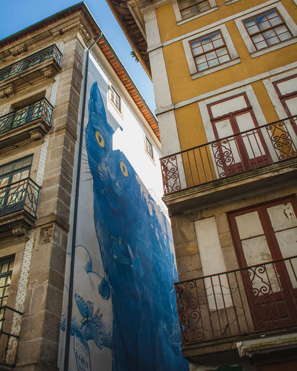Portuguese translation by Ecrivus — sector specialists and linguists